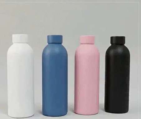 Stainless Steel Water Bottle